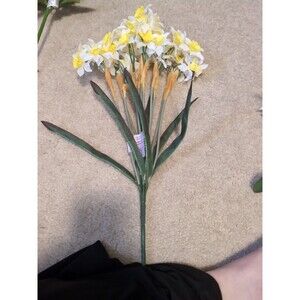 White And Yellow Narcissus Ashland